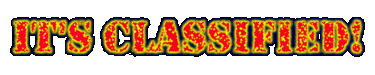 IT'S CLASSIFIED! logo